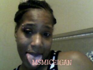 MSMICHIGAN