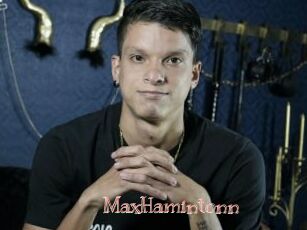 MaxHamintonn