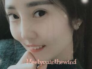Meetyouinthewind