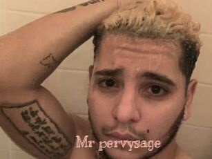 Mr_pervysage