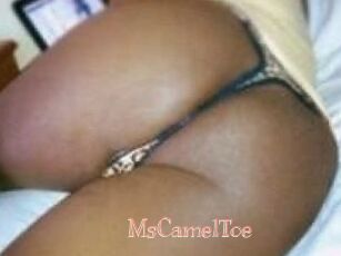 MsCamelToe
