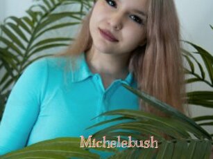 Michelebush