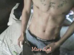 Mierdoel