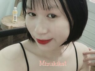 Mizukikat