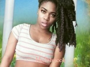 Modelmook