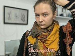 Moiregodsil