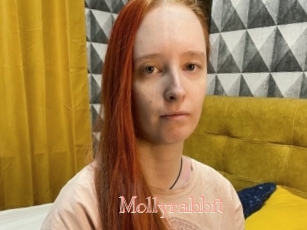 Mollyrabbit