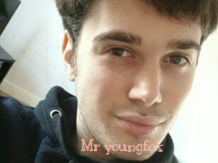 Mr_youngfox