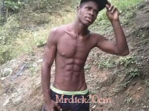 Mrdick20cm