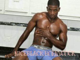 NICEBLACK_HORNYCOCK