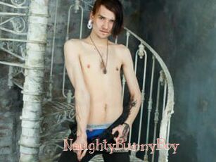 NaughtyBunnyBoy