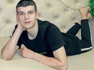 NigelBud