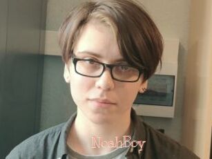 NoahBoy