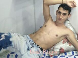 Noah_Bunny