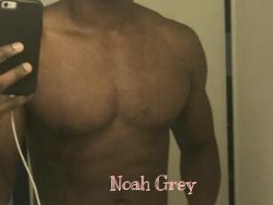 Noah_Grey