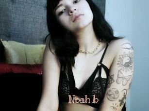 Noah_b