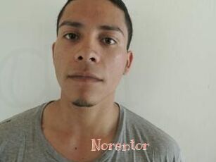 Noren_tor