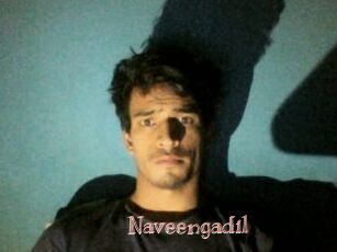 Naveengadil