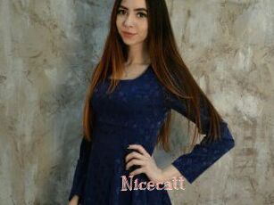 Nicecatt