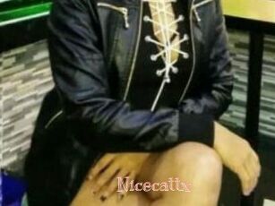 Nicecattx