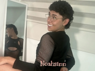 Noahsinn