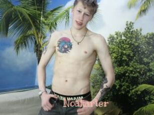 Noakarter
