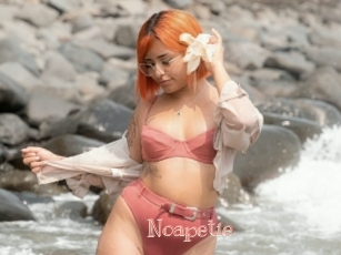 Noapetie