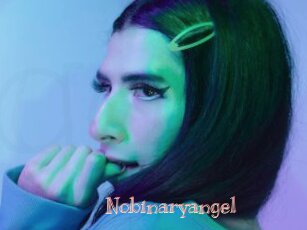 Nobinaryangel