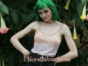 Norathcourteous