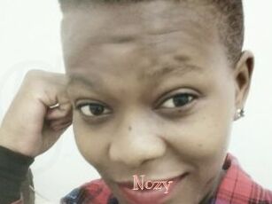 Nozy