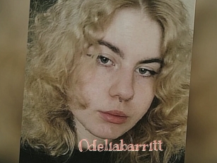 Odeliabarritt