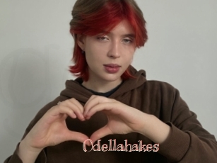 Odellahakes