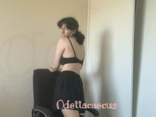 Odettacaecus