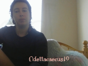 Odettacaecus19