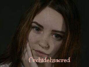 Orchidehsacred