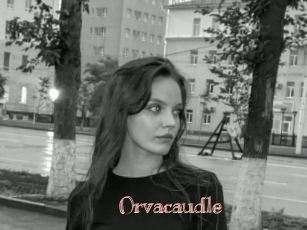 Orvacaudle