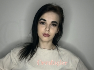 Orvafugler