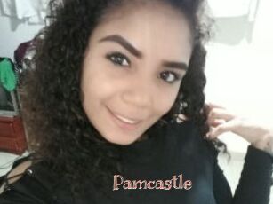 Pamcastle