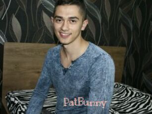 PatBunny