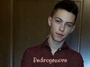 Pedrogenove