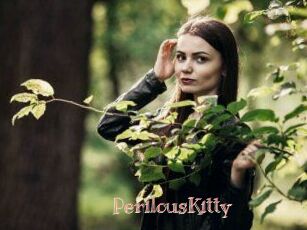 Perilous_Kitty
