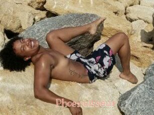 Phoenoisseur