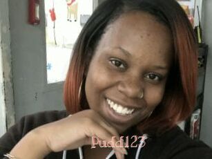 Pudd123