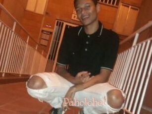 Paholohot