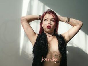 Pandy