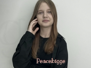 Peacebigge
