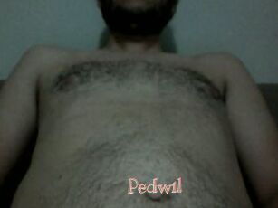 Pedwil