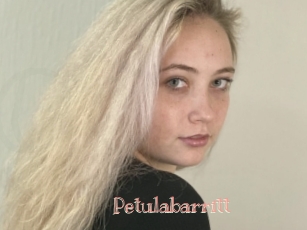 Petulabarritt