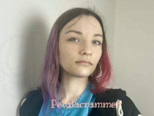 Petulacrammer