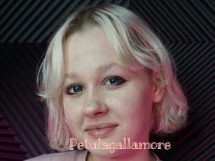 Petulagallamore